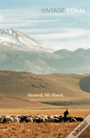 Capa do artigo Memed, My Hawk