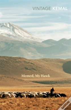 Capa do artigo Memed, My Hawk