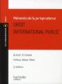 Mémento De La Jurisprudence Du Droit International Public - Preview