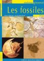 Memo - Les Fossiles - Preview