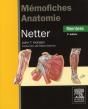 Memofiches Anatomie Netter Membres 3eme Edition - Preview