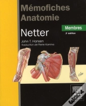 Memofiches Anatomie Netter Membres 3eme Edition