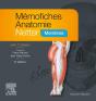 Memofiches Anatomie Netter - Membres - Preview