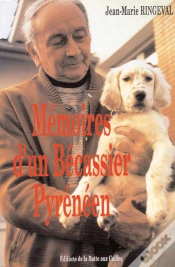 Capa do artigo Mémoire D