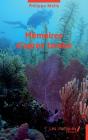 Memoires D'Apres Tombe - Preview