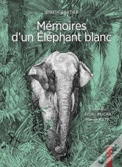 Capa do artigo Mémoires D