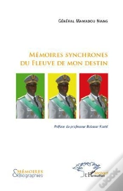 Capa do artigo Mémoires Synchrones Du Fleuve De Mon Destin