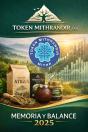 Memoria Y Balance 2025 - Preview