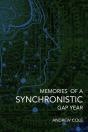 Memories Of A Synchronistic Gap Year - Preview