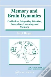 Capa do artigo Memory And Brain Dynamics