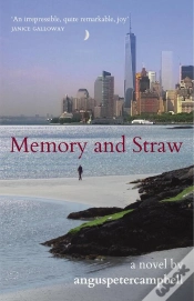 Capa do artigo Memory And Straw