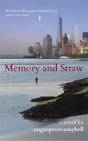 Memory And Straw - Preview