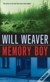Capa do artigo Memory Boy