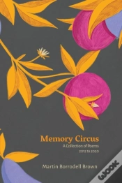 Capa do artigo Memory Circus