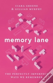 Capa do artigo Memory Lane