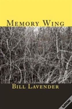 Capa do artigo Memory Wing