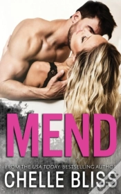 Capa do artigo Mend