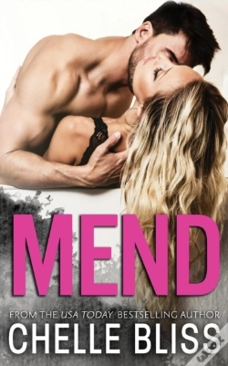 Capa do artigo Mend