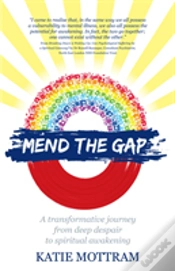 Capa do artigo Mend The Gap - A Transformative Journey