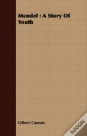 Capa do artigo Mendel : A Story Of Youth