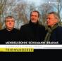 Mendelssohn/Schumann & Brahms: Complete Piano Trios - CD - Preview