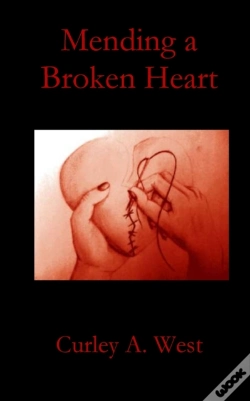 Capa do artigo Mending A Broken Heart
