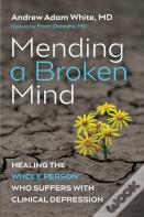 Mending A Broken Mind