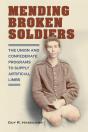 Mending Broken Soldiers - Preview