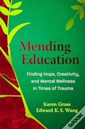Capa do artigo Mending Education