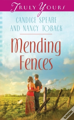 Capa do artigo Mending Fences