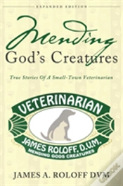 Capa do artigo Mending God