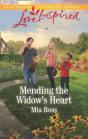 Mending The Widow'S Heart - Preview