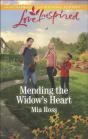 Mending The Widow'S Heart - Preview