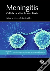 Capa do artigo Meningitis