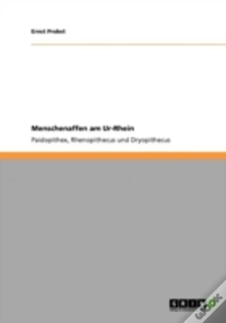 Capa do artigo Menschenaffen Am Ur-Rhein
