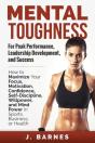 Mental Toughness For Peak Performance, Leadership Development, And Success - Preview