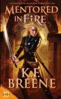 Mentored In Fire - Preview