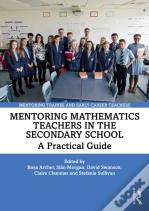 Mentoring Mathematics Teachers In The Secondary School
