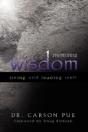 Mentoring Wisdom - Preview