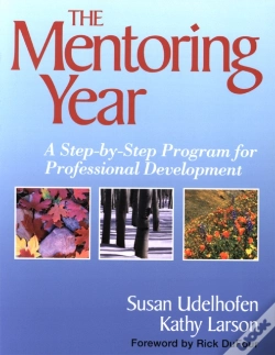 Capa do artigo Mentoring Year