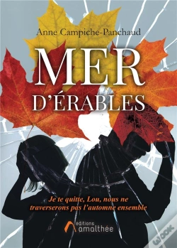 Capa do artigo Mer D'Erables