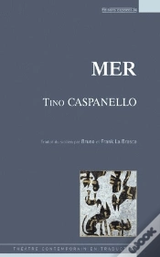 Capa do artigo Mer