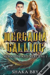 Capa do artigo Mercadia Calling
