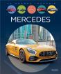 Mercedes - Preview