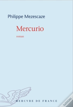 Capa do artigo Mercurio