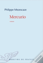 Capa do artigo Mercurio