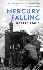 Capa do artigo Mercury Falling