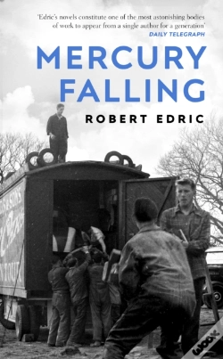 Capa do artigo Mercury Falling