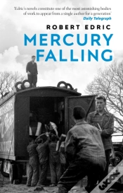 Capa do artigo Mercury Falling
