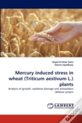 Mercury Induced Stress In Wheat (Triticum Aestivum L.) Plants